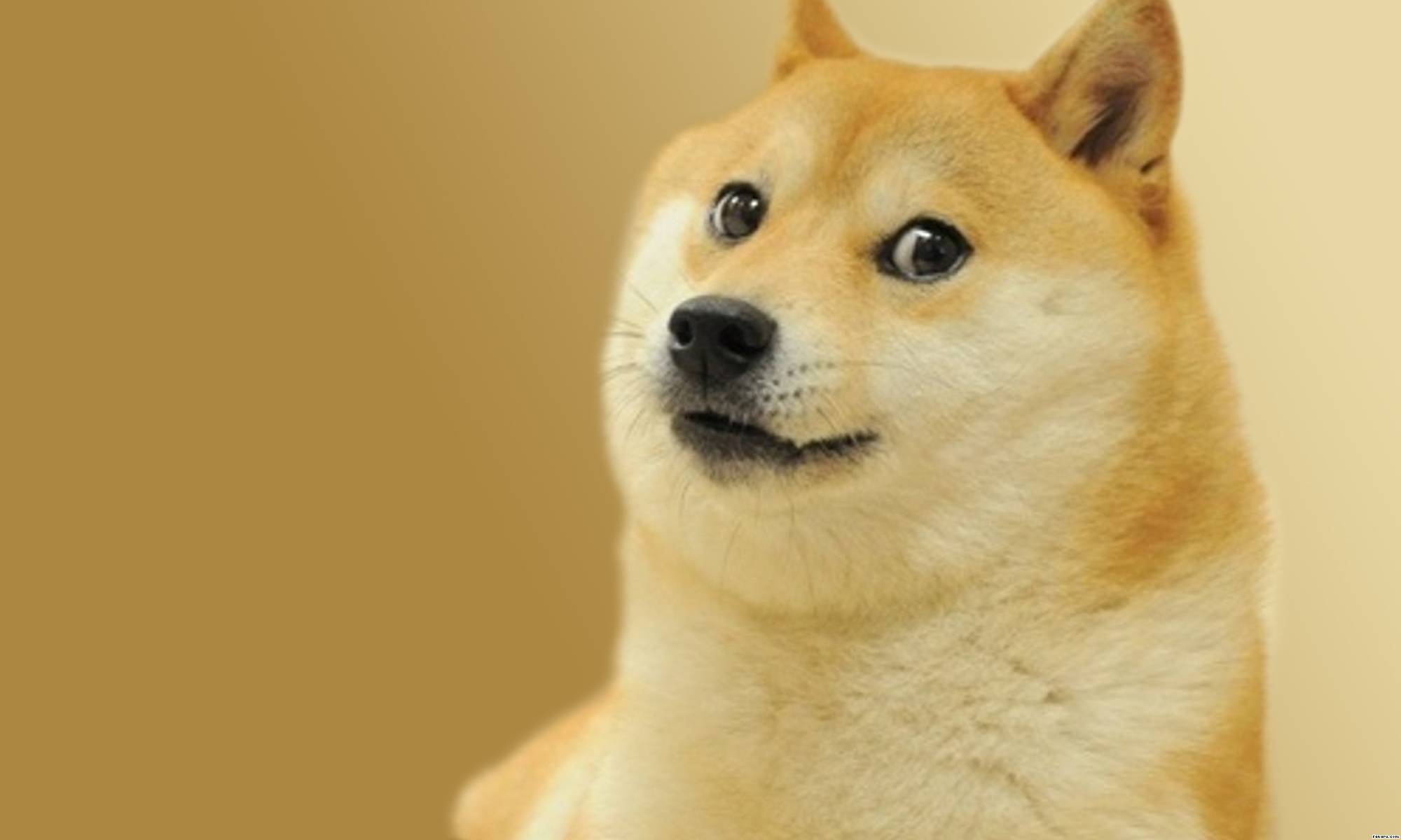 Doge does not want to see you now.